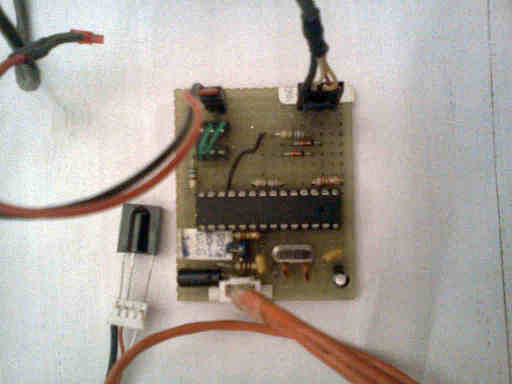 IMG095.jpg